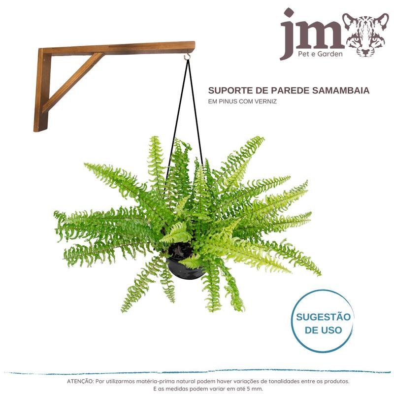 Suporte Parede Reforçado Para Samambaia 51cm - JM Garden - Suporte